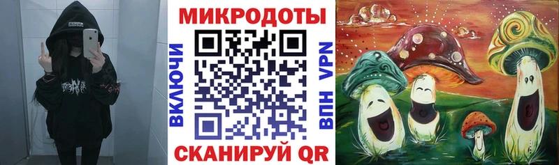 что такое   Тихорецк  Псилоцибиновые грибы Cubensis 